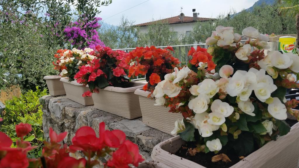 Hotel Augusta Garni ลีโมเนซุลการ์ดา ภายนอก รูปภาพ