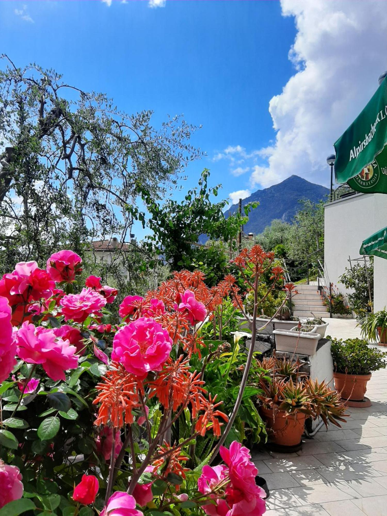 Hotel Augusta Garni ลีโมเนซุลการ์ดา ภายนอก รูปภาพ