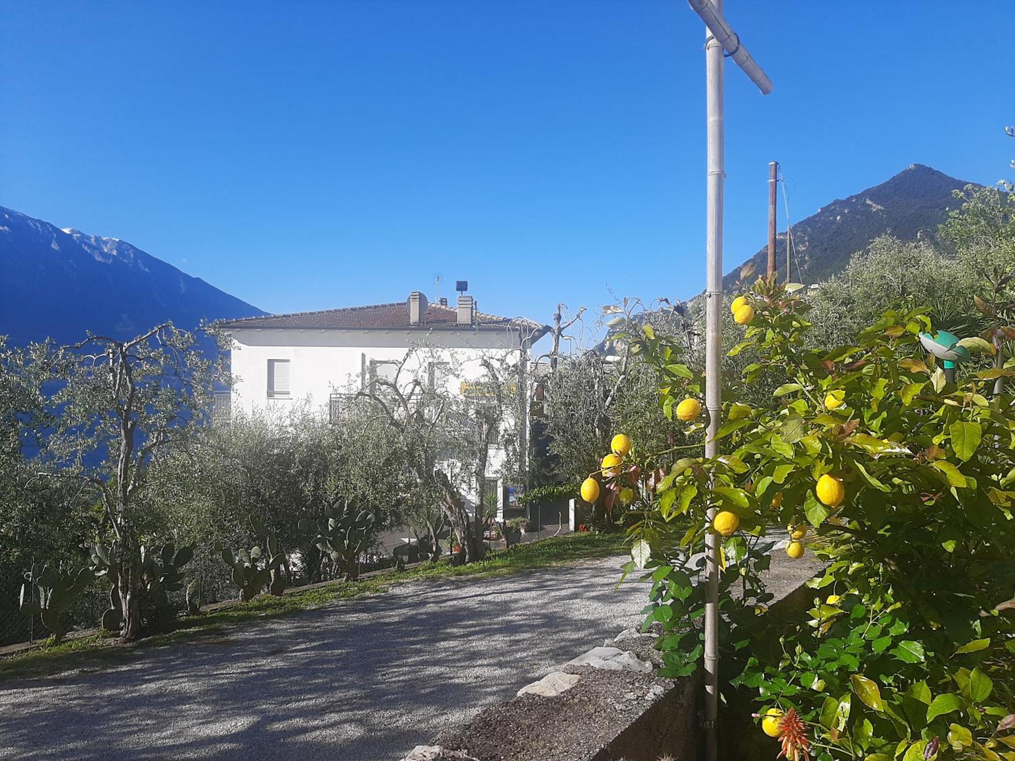 Hotel Augusta Garni ลีโมเนซุลการ์ดา ภายนอก รูปภาพ